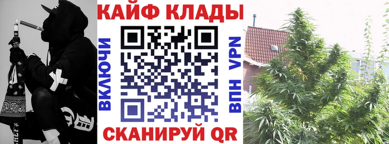 Где купить наркотики Куйбышев Гашиш Alpha PVP Псилоцибиновые грибы МЕФ