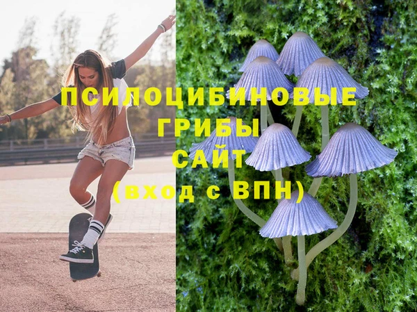 бутират Пестово