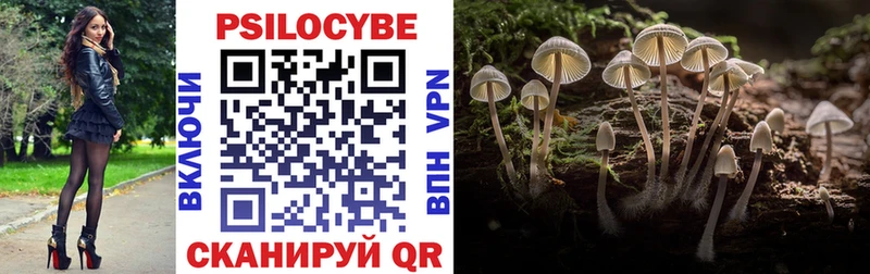 Псилоцибиновые грибы мухоморы где купить наркоту Куйбышев