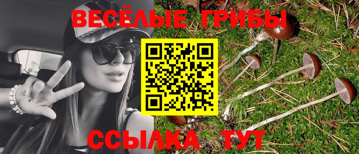 Псилоцибиновые грибы мухоморы Куйбышев