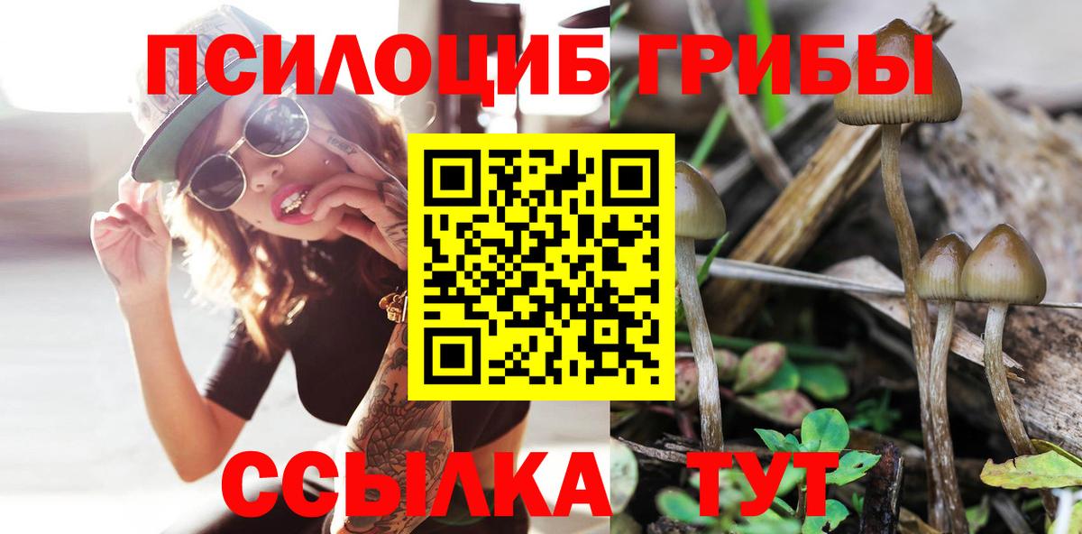Псилоцибиновые грибы прущие грибы  Вход с VPN  Куйбышев 