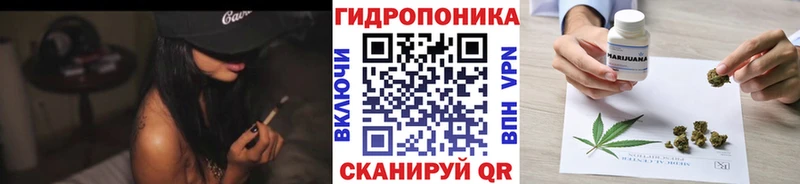 Бошки марихуана OG Kush  Куйбышев 